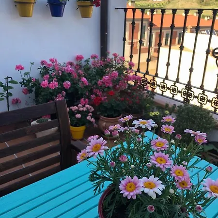Terraza Andalucia Centro